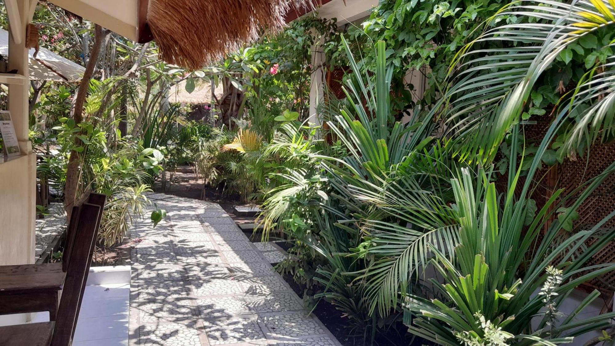 Wombat'S B&B Gili Trawangan Eksteriør billede